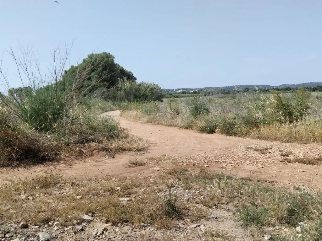 Lote de terreno rústico plano
