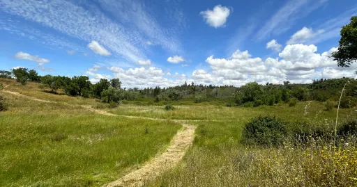 Herdade com 11,6 hectares em São Bartolomeu da Serra, Santiago do Cacém