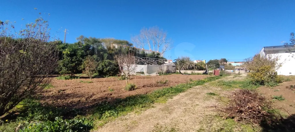 Terreno para Moradia T4 com Projeto Aprovado e Anexos | Lourinhã