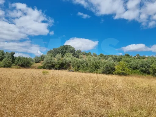 Terreno Rustico Ribeira Branca TORRES NOVAS