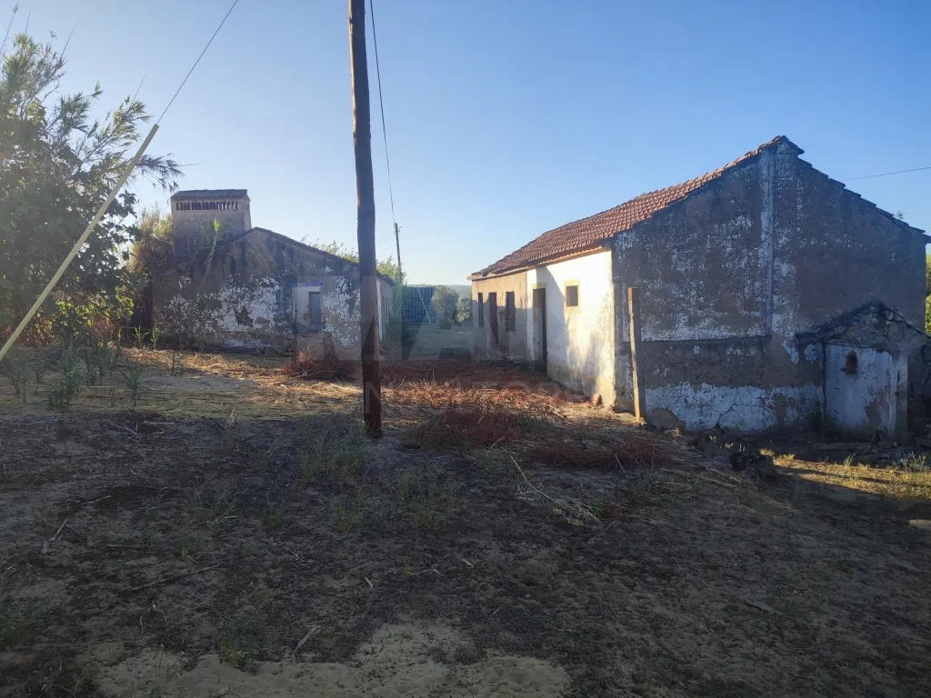 Quinta com moradia para recuperar na zona de Abrantes
