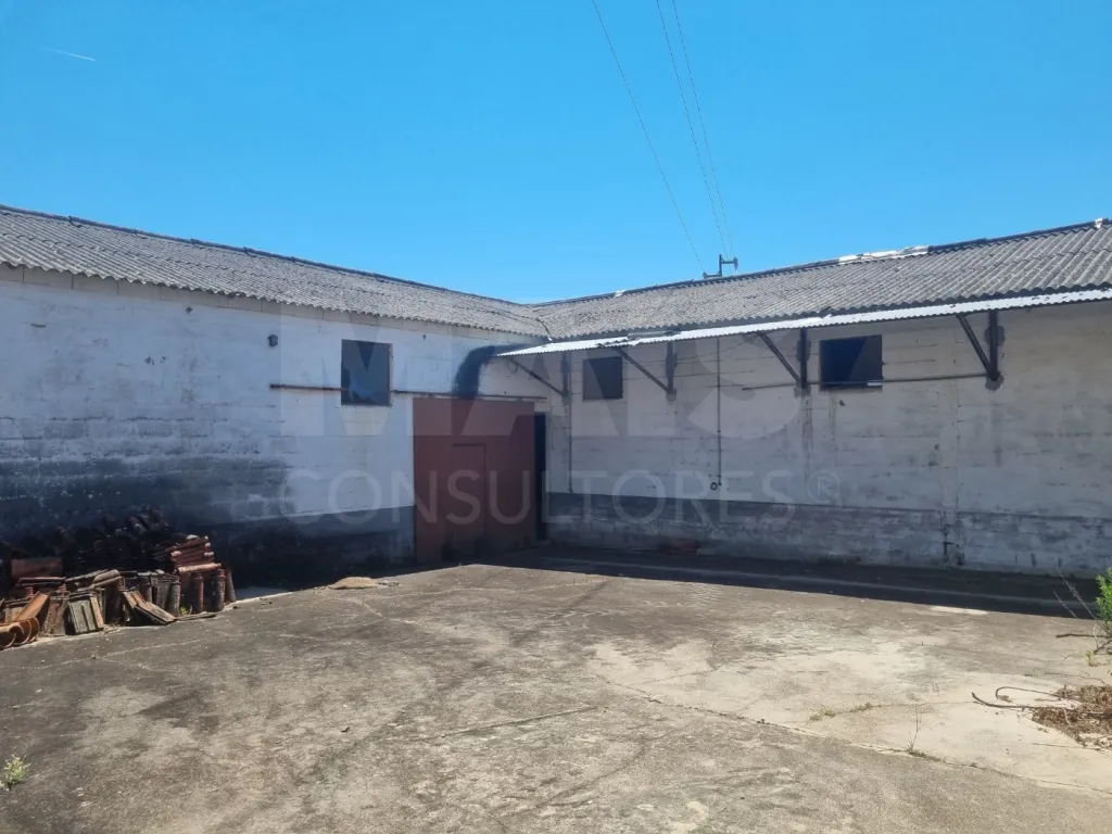 Small Farm with 6.2 Hectares, Abundant Water and 902 m² of Construction in Torres Novas