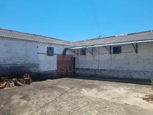 Quintinha com 6,2 Hectares, Água Abundante e 902 m² de Construção em Torres Novas