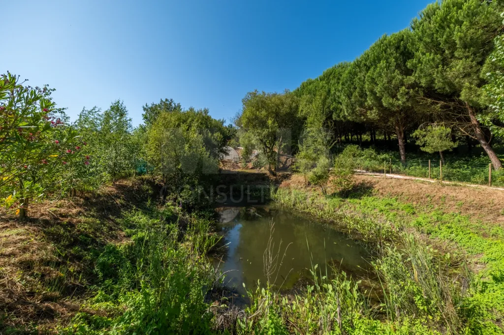 Terreno Agrícola na Fanadia | 16.100 m² de Potencial e Infraestruturas Preparadas