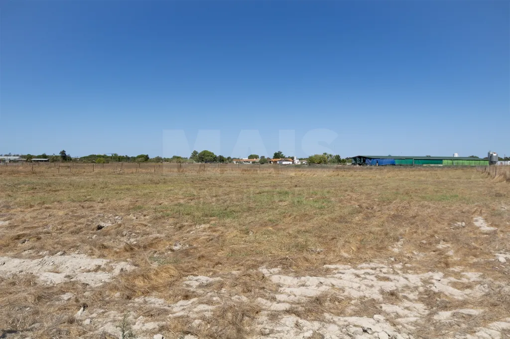 Oportunidade no Porto Alto: Terreno urbano com 4.266 m²