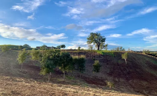 Herdade  com 40,85 hectares em São Bartolomeu da Serra, Santiago do Cacém