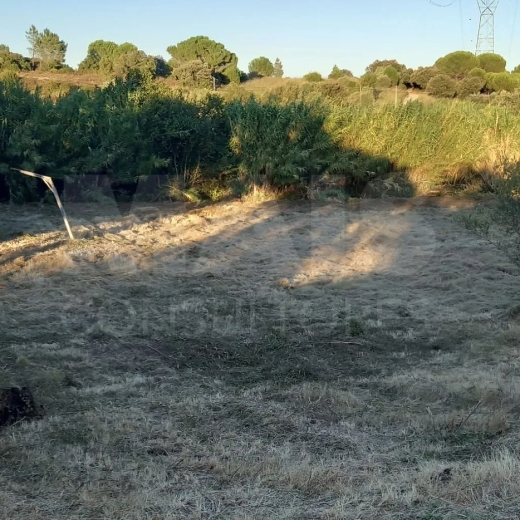 Terreno rústico de 5200m2 na Lamarosa com tanque e casa agrícola