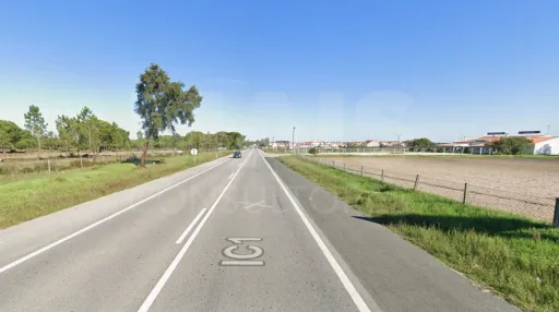 Excelente Oportunidade de Investimento em Grândola: Terreno com 26.215 m² e Acesso Direto ao IC1
