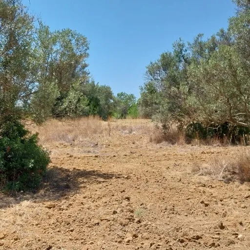 Lote de Terreno Rustico junto á Estrada Nacional 125