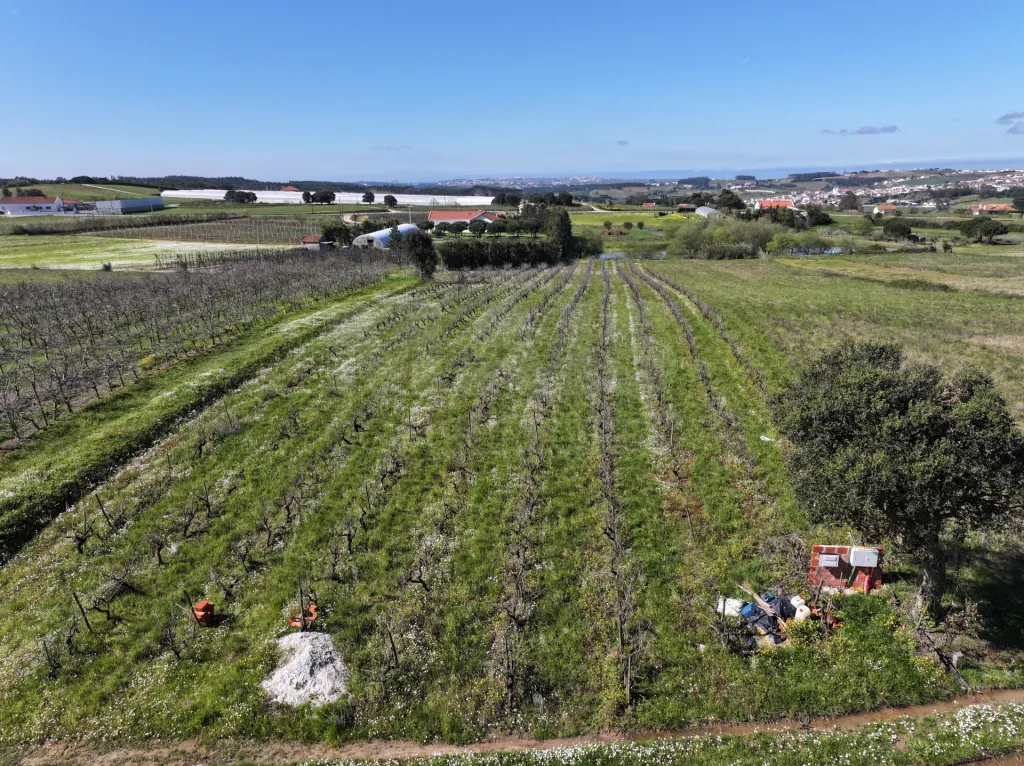 Terreno c/ Projecto & Alvará de Construção até 2028!