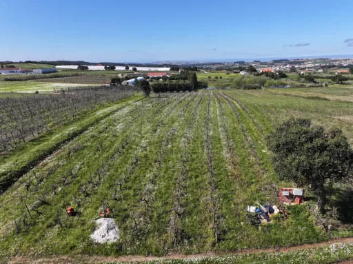 Terreno c/ Projecto & Alvará de Construção até 2028!