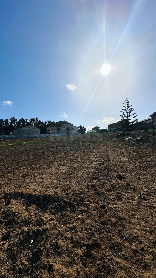 6,042 m² Lot | Building Potential | Santa Bárbara, Lourinhã