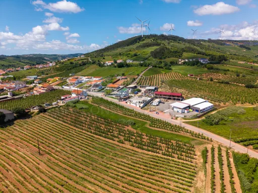 Terreno com potencial de construção para 2 Moradias - Alguber