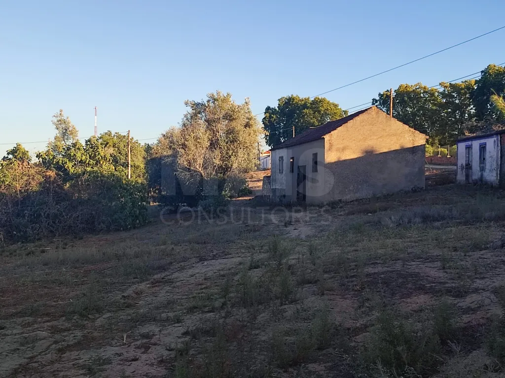 Quinta com moradia para recuperar na zona de Abrantes