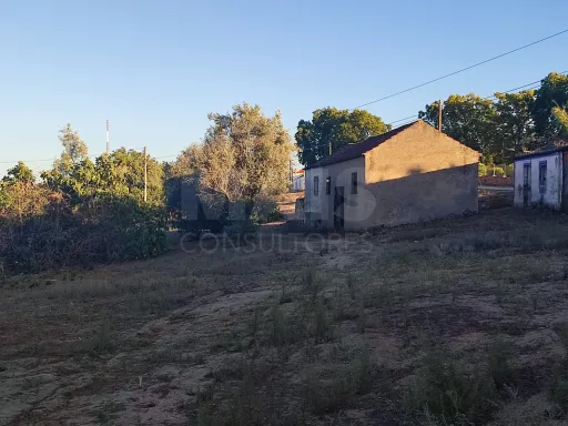 Quinta com moradia para recuperar na zona de Abrantes