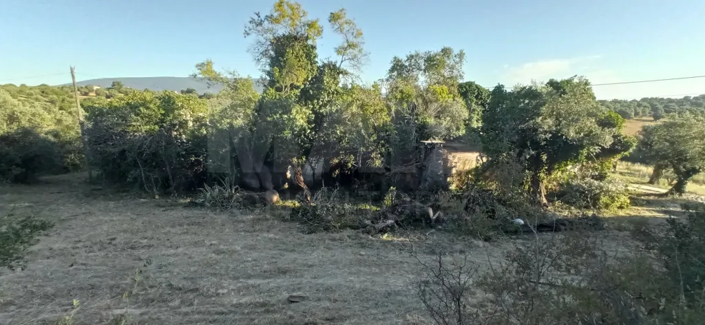 Terreno Misto com Ruina em TORRES NOVAS
