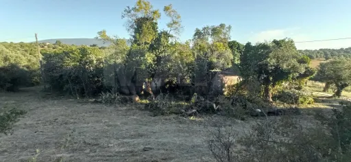 Terreno Misto com Ruina em TORRES NOVAS