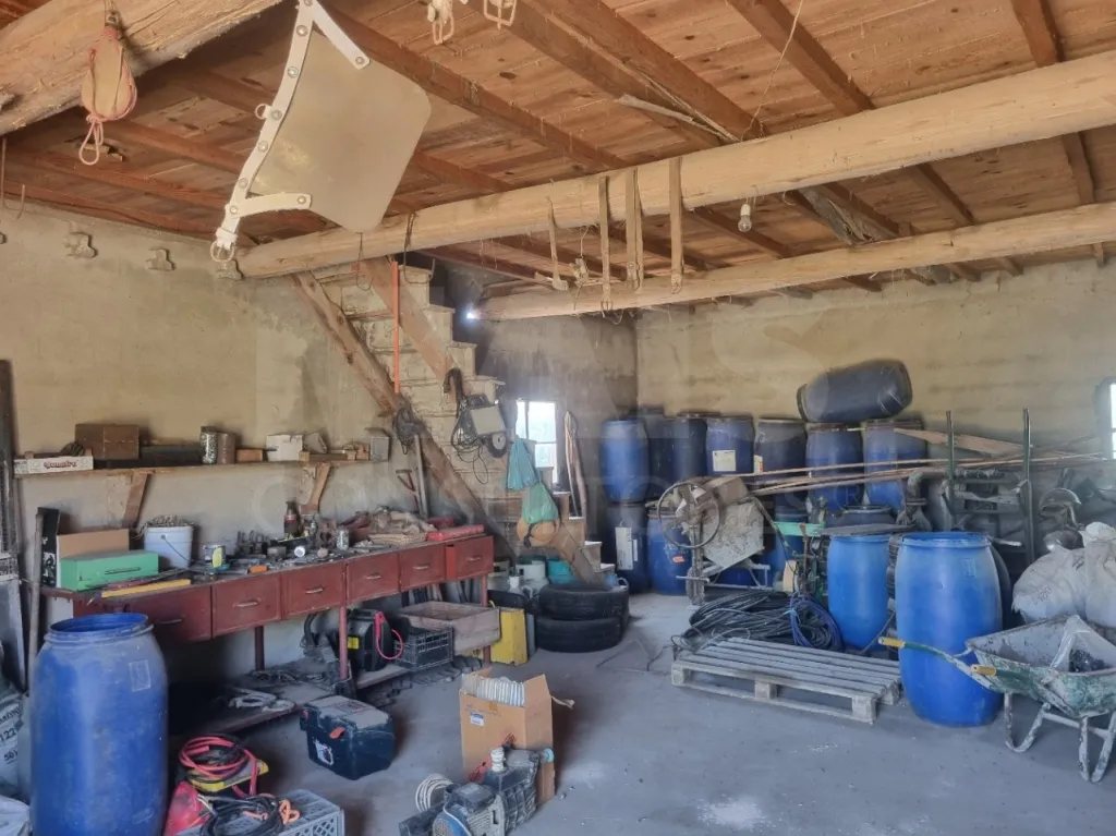 Small Farm with 6.2 Hectares, Abundant Water and 902 m² of Construction in Torres Novas