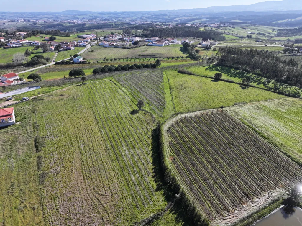Terreno c/ Projecto & Alvará de Construção até 2028!