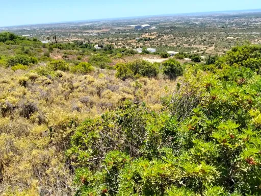 Terreno Rústico com vista mar em Santa Bárbara de Nexe