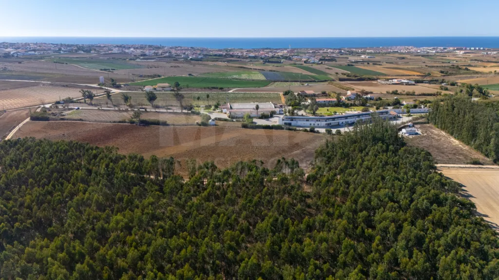 Parcela de terreno rústico de 2.350m2 em Atouguia da Baleia