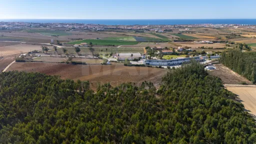 Parcela de terreno rústico de 2.350m2 em Atouguia da Baleia