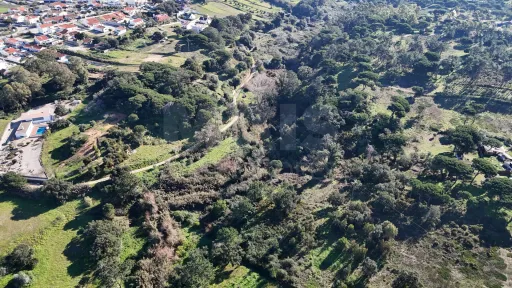 Terreno Rústico em Alfarim