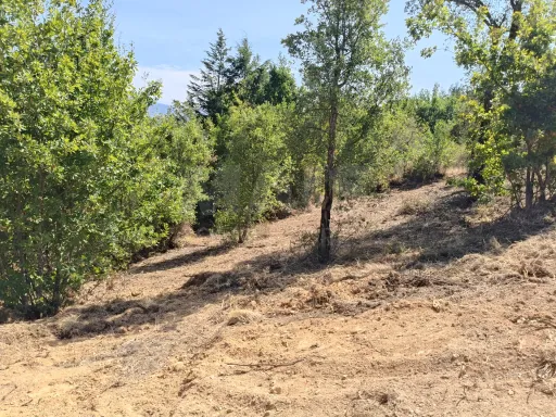 Terreno com 1587m2 para construir