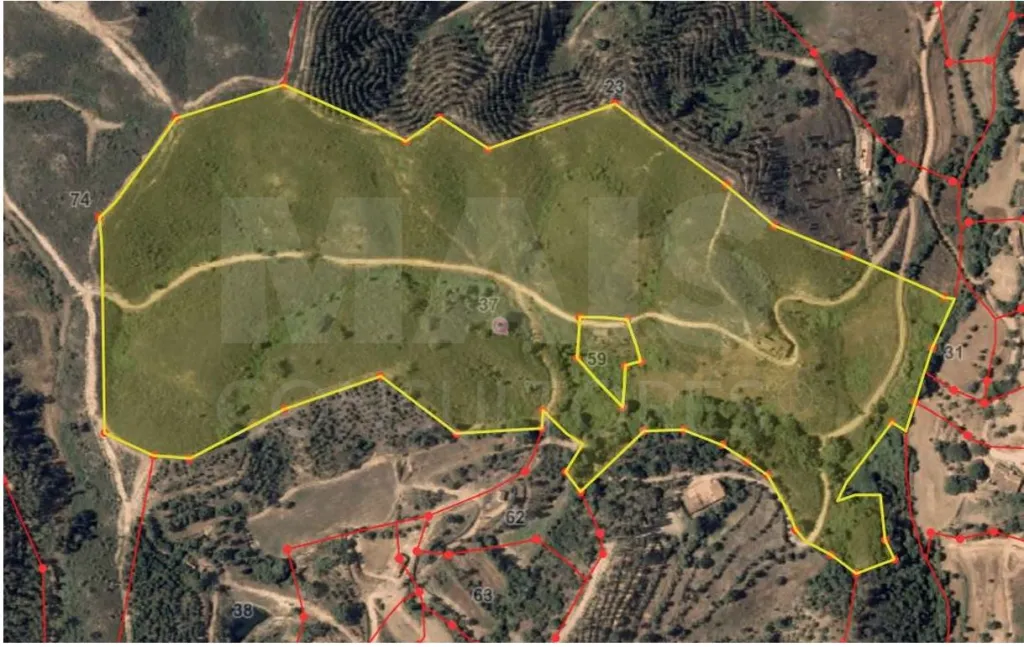 Monte Alentejano com 2 Ruínas