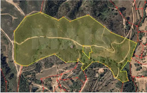 Monte Alentejano com 2 Ruínas