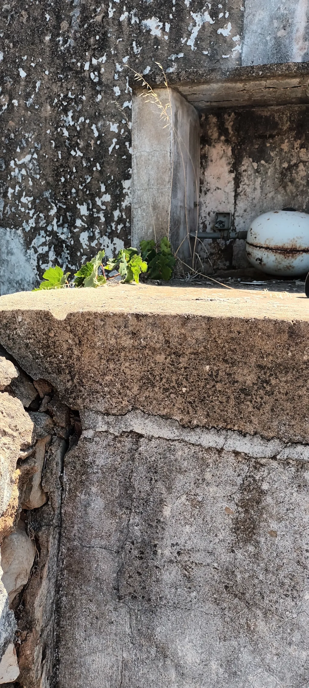 Terreno urbano com ruina / rustico