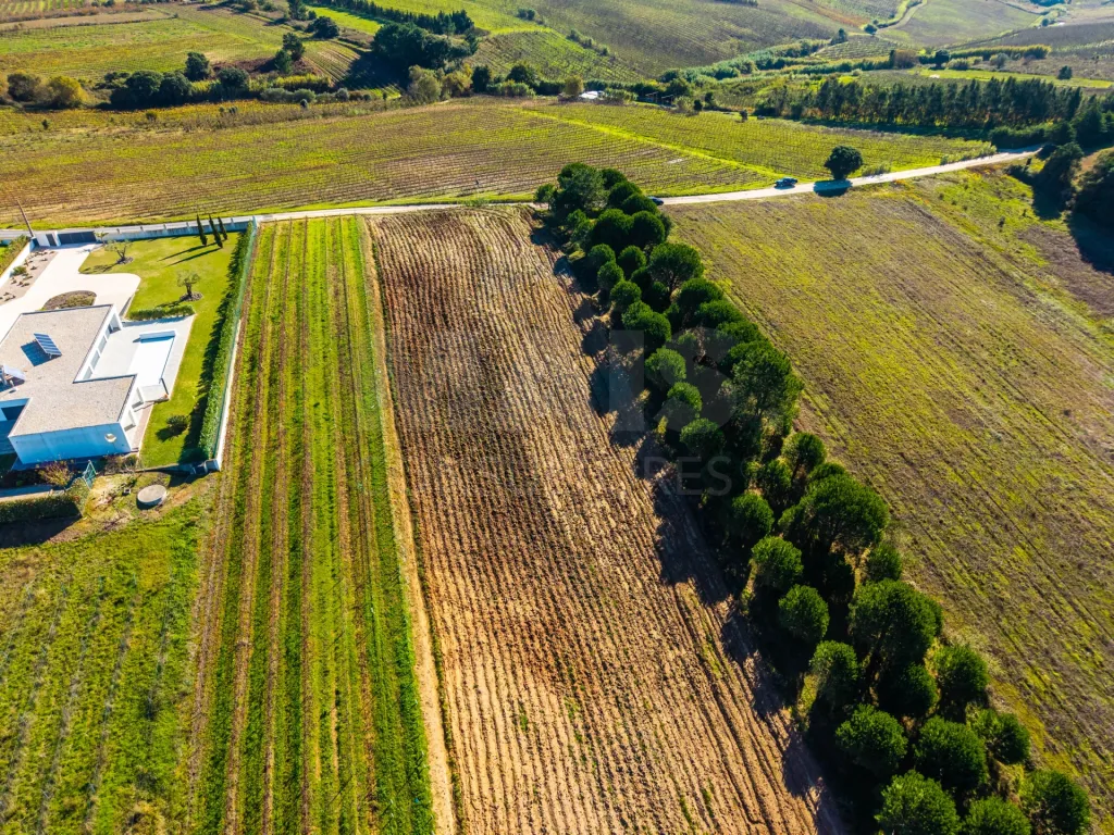Terreno de 7240m2 com vista deslumbrante para a Serra do Montejunto