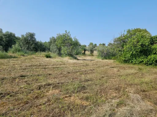 Terreno Misto com Ruina em TORRES NOVAS