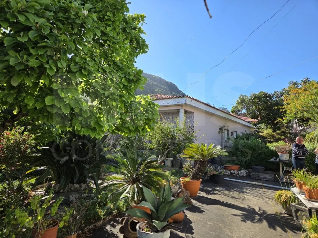Moradia T3 com Jardim, Anexos e Enorme Potencial – Moitas Vendas