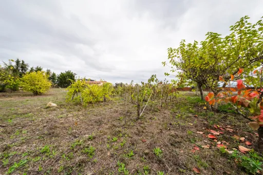 Moradia T3 com terreno