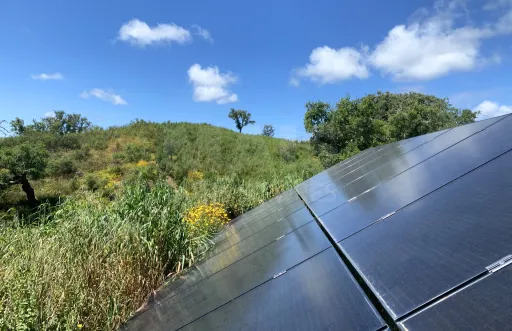 Herdade  com 40,85 hectares em São Bartolomeu da Serra, Santiago do Cacém