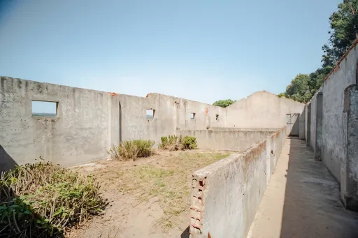 Quintinha T3 com 7.616 m² de terreno urbano e anexos (Casal do Rei)