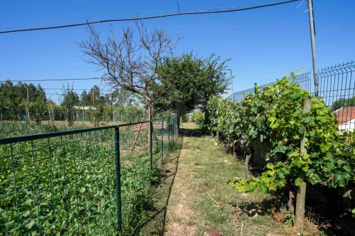 Quinta com moradia térrea em Torres Vedras