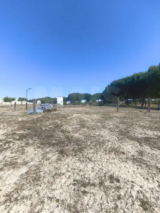 Propriedade com Piscina e Instalações Equestres – Um Refúgio Tranquilo com Potencial de Expansão