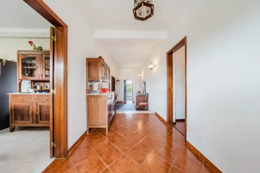 Moradia T3 com terreno