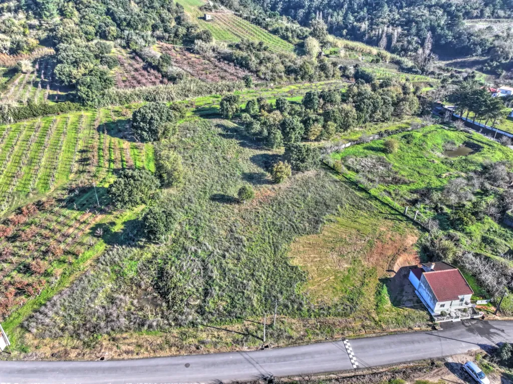 Rustic land with 3.000m2 of construction feasibility