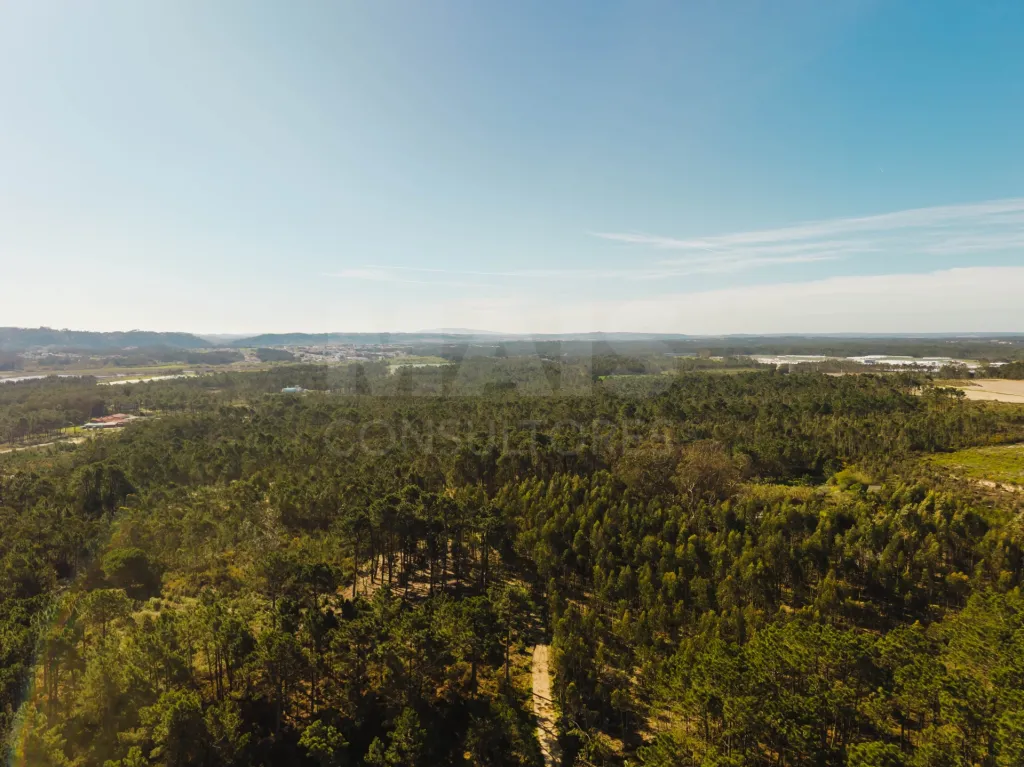 Terreno com Viabilidade para 7 Moradias | Salir do Porto
