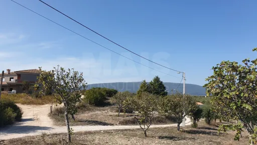 Terreno Misto com Ruina em TORRES NOVAS