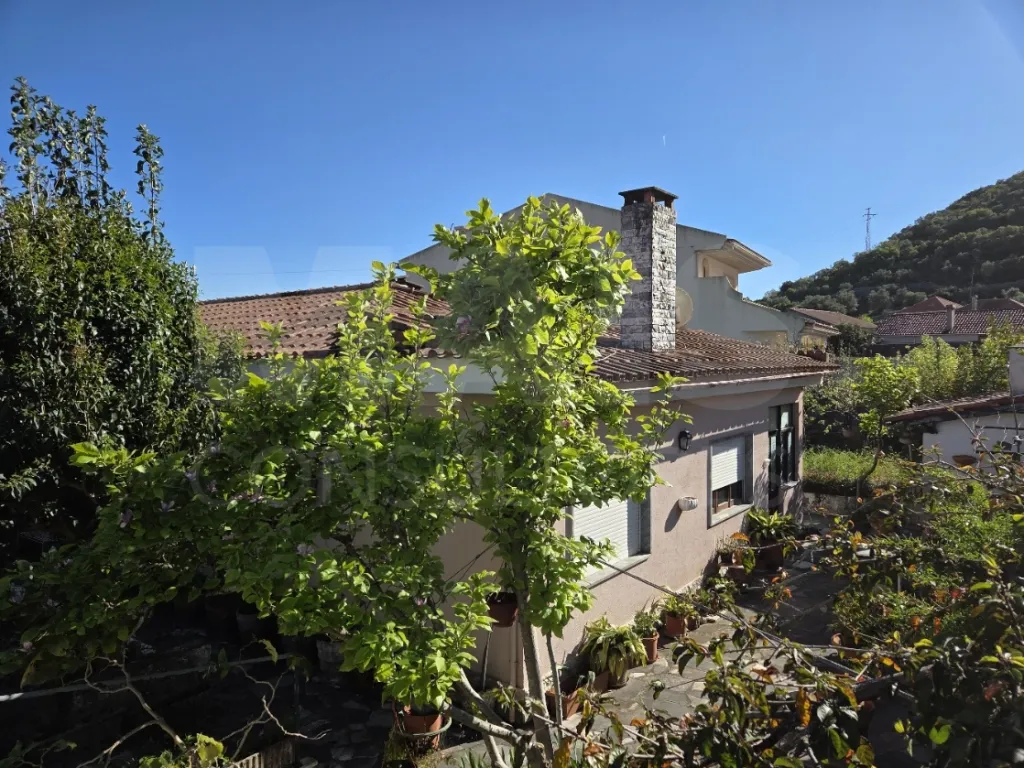 Moradia T3 com Jardim, Anexos e Enorme Potencial – Moitas Vendas