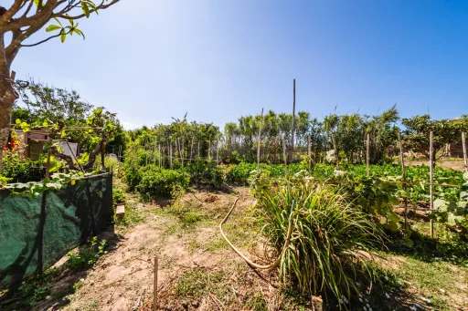 Moradia T2+2 com Terreno de quase 3000m2 Urbano