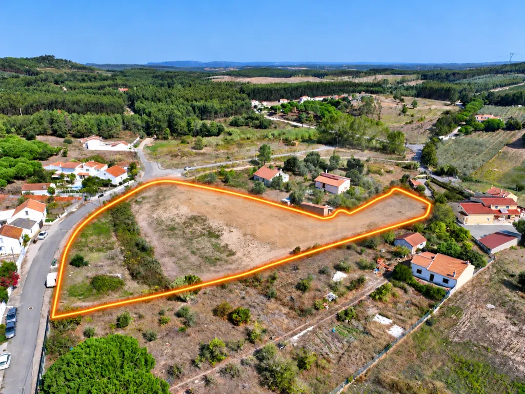 Terrano de 7.024 m2 com Potencial de Loteamento | Alcoentre