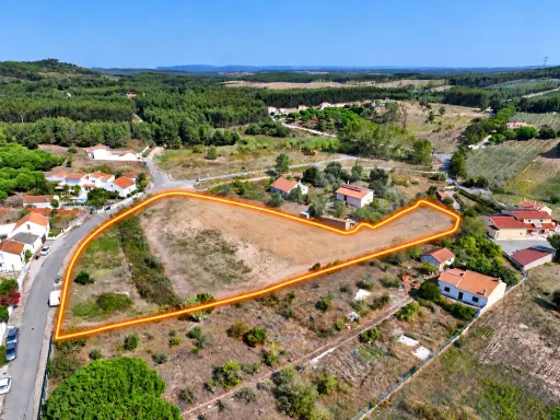 Terrano de 7.024 m2 com Potencial de Loteamento | Alcoentre