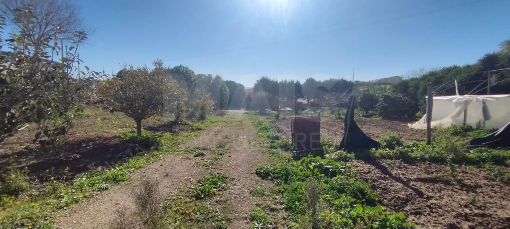 Terreno para Moradia T4 com Projeto Aprovado e Anexos | Lourinhã