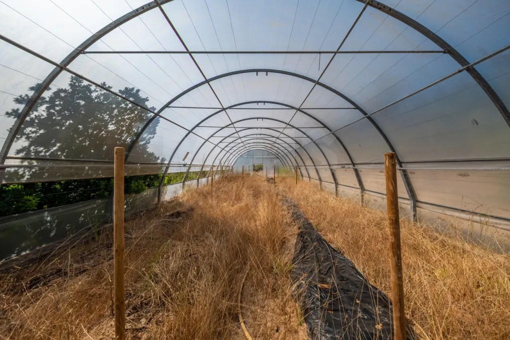 Terreno Agrícola na Fanadia | 16.100 m² de Potencial e Infraestruturas Preparadas