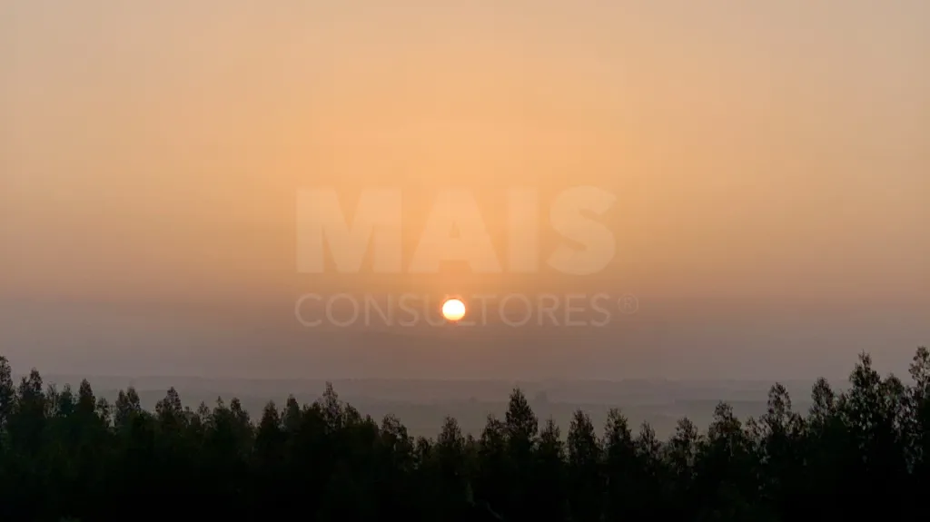 Herdade com 52,45 hectares em São Bartolomeu da Serra, Santiago do Cacém